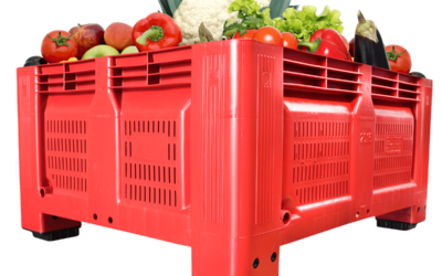 ¿Dónde comprar palots de plástico en Murcia?