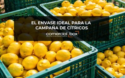 El envase ideal para la campaña de cítricos