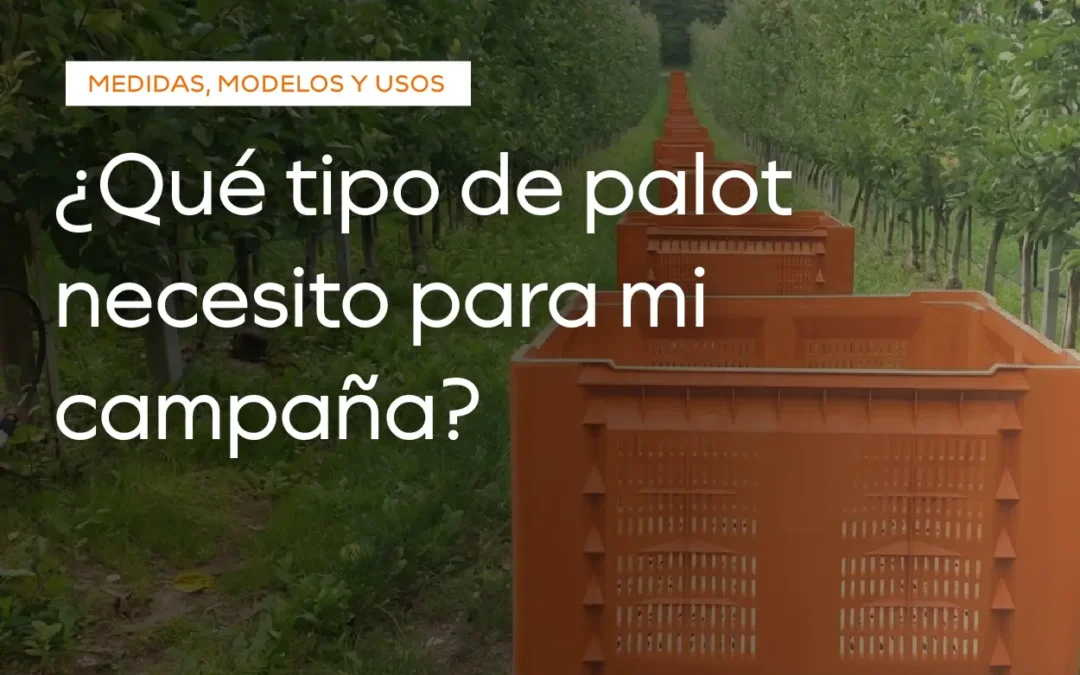 tipos de palots de plastico
