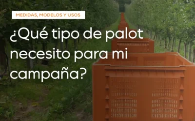 Palots de plástico: guía definitiva tipos, medidas y modelos disponibles.